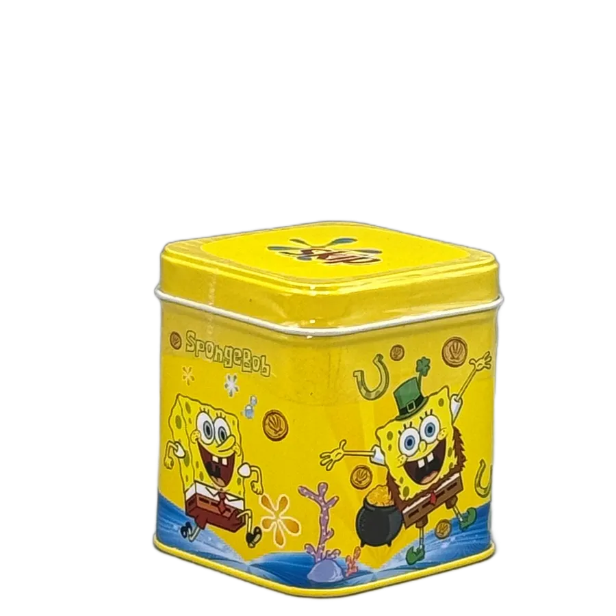 باب اسفنجی